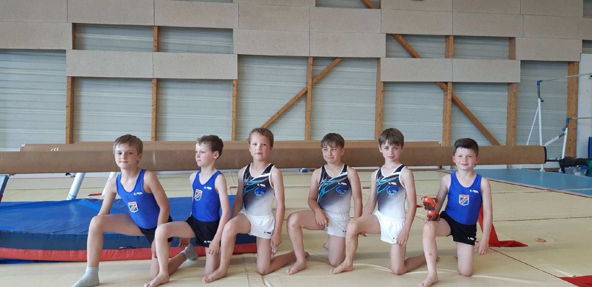 Gymnastique Artistique Masculine