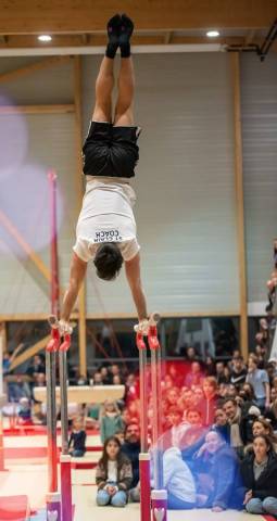 Gymnastique Artistique Masculine